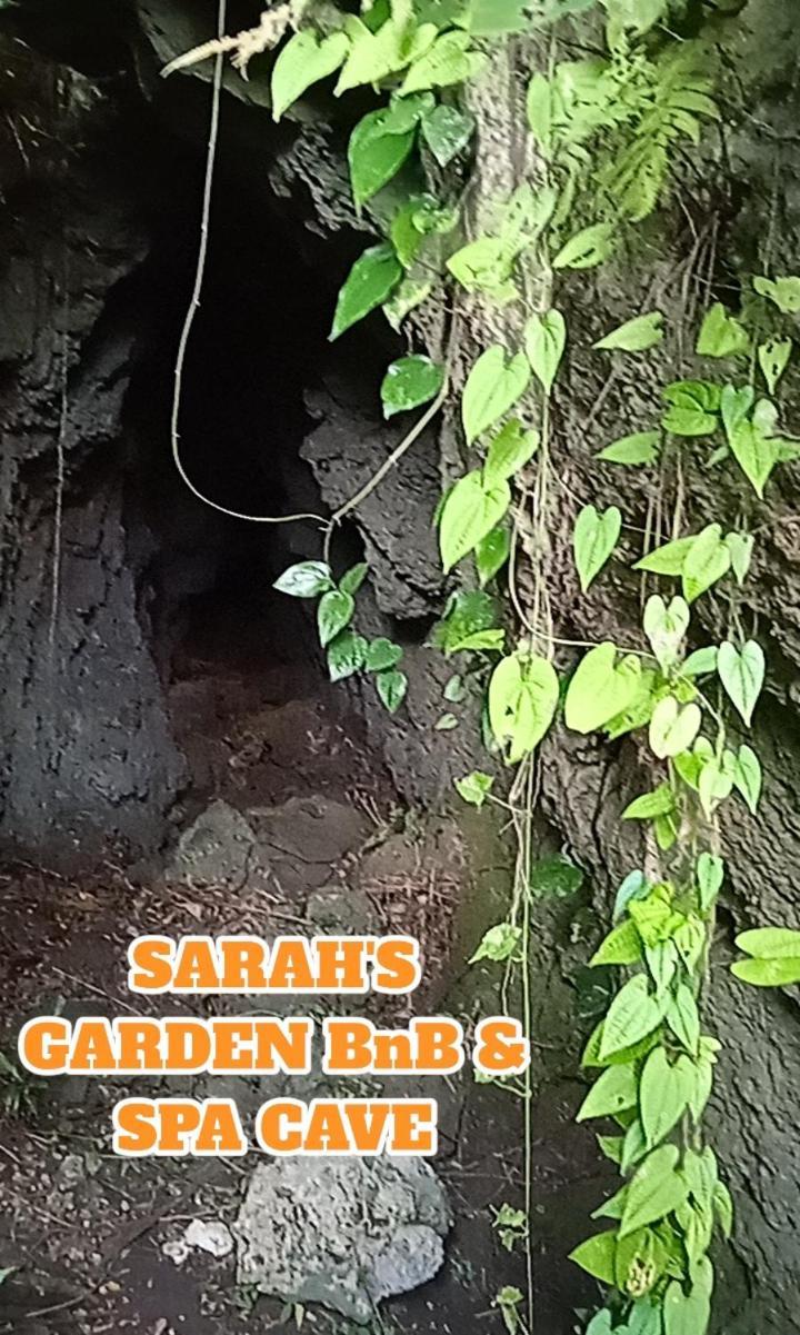 Sarah'S Garden Bnb & Spa Panzió Clarin  Kültér fotó